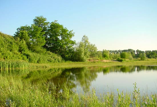 NSG - Am Ginsterpfad